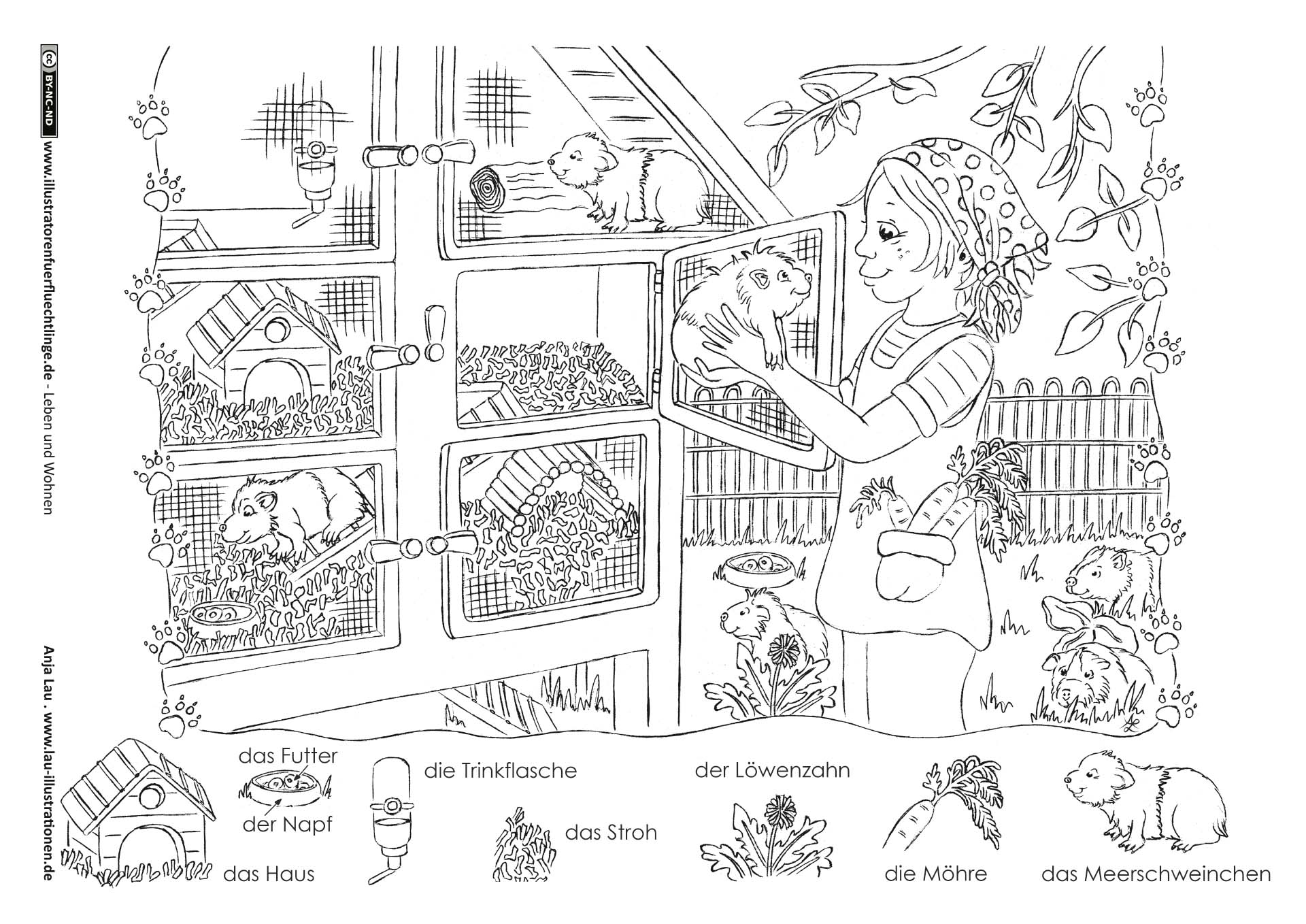 Leben und Wohnen - Haustiere Meerschweinchen