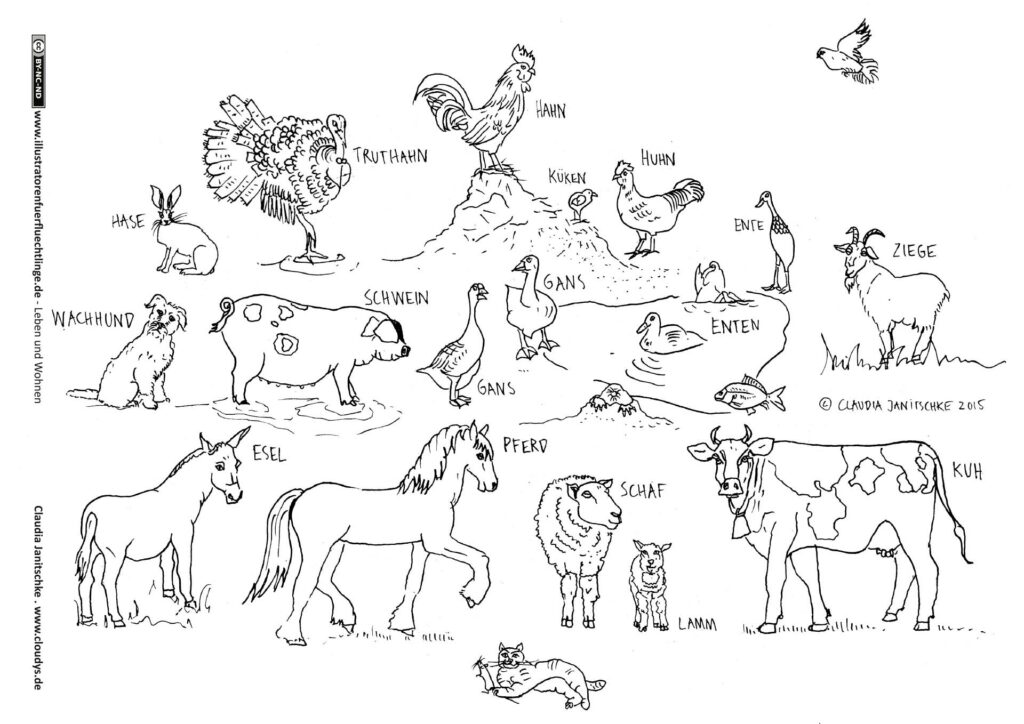 Leben und Wohnen - Tiere Nutztiere Haustiere