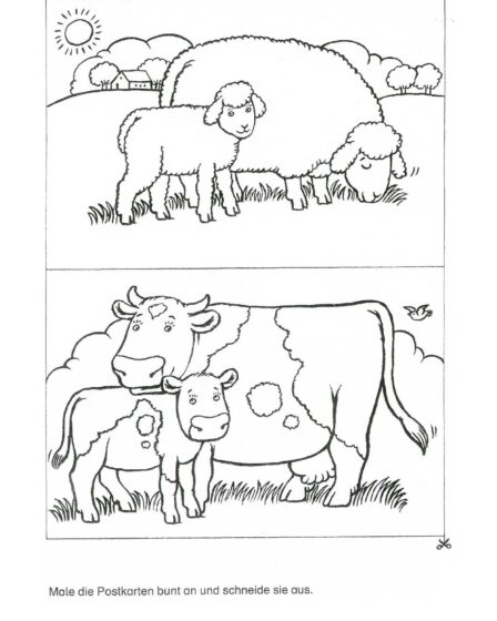 Natur - Bauernhof Postkarten Kuh Schaf