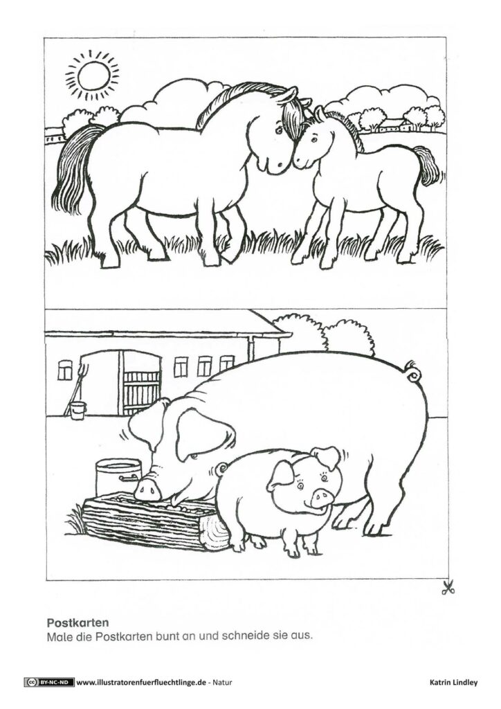 Natur - Bauernhof Postkarten Pferd Schwein