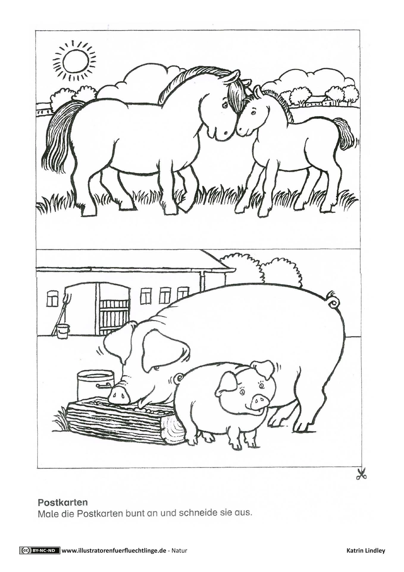 Natur - Bauernhof Postkarten Pferd Schwein