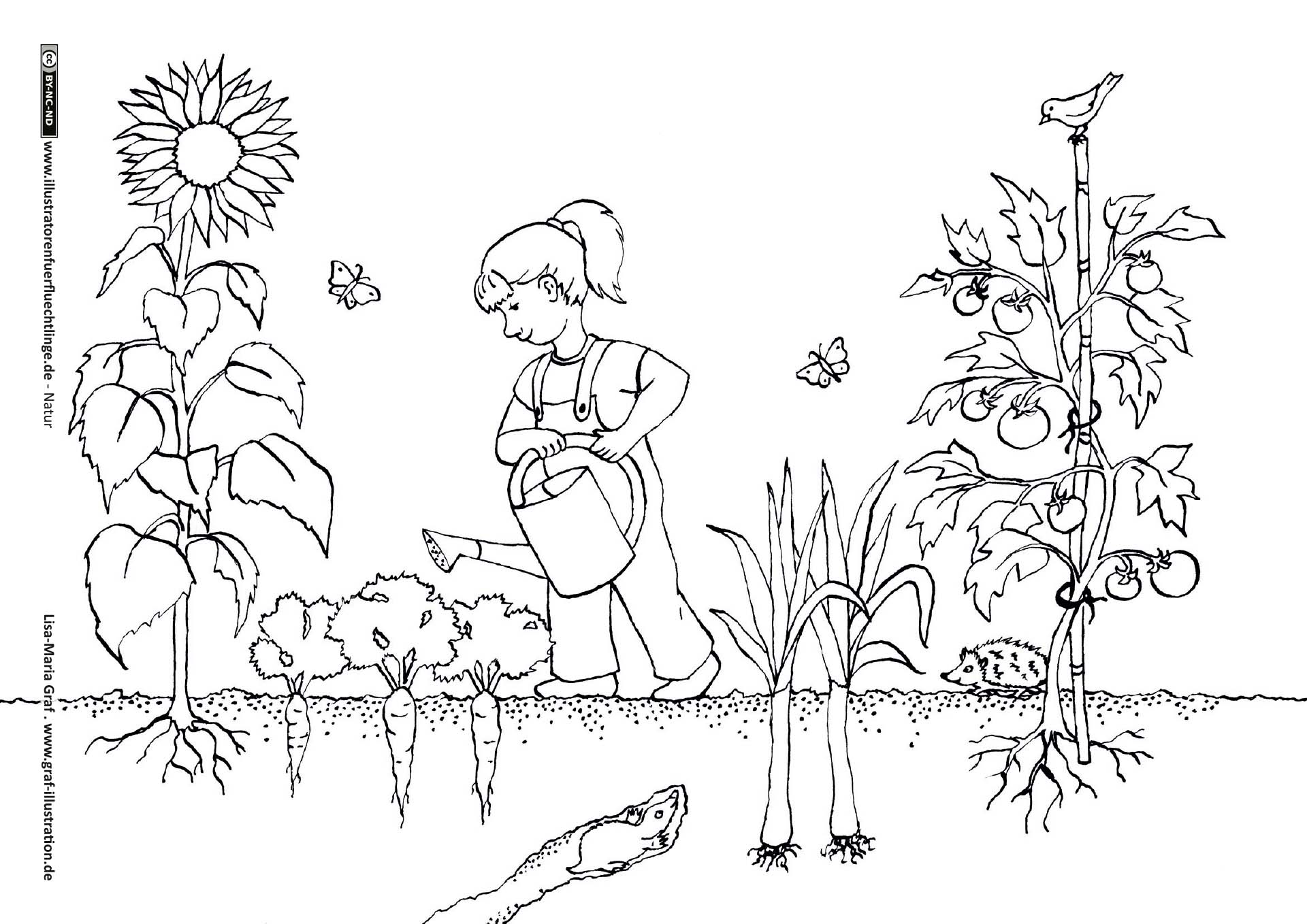 Natur - Garten Gartenarbeit Gemüse von Lisa-Maria Graf