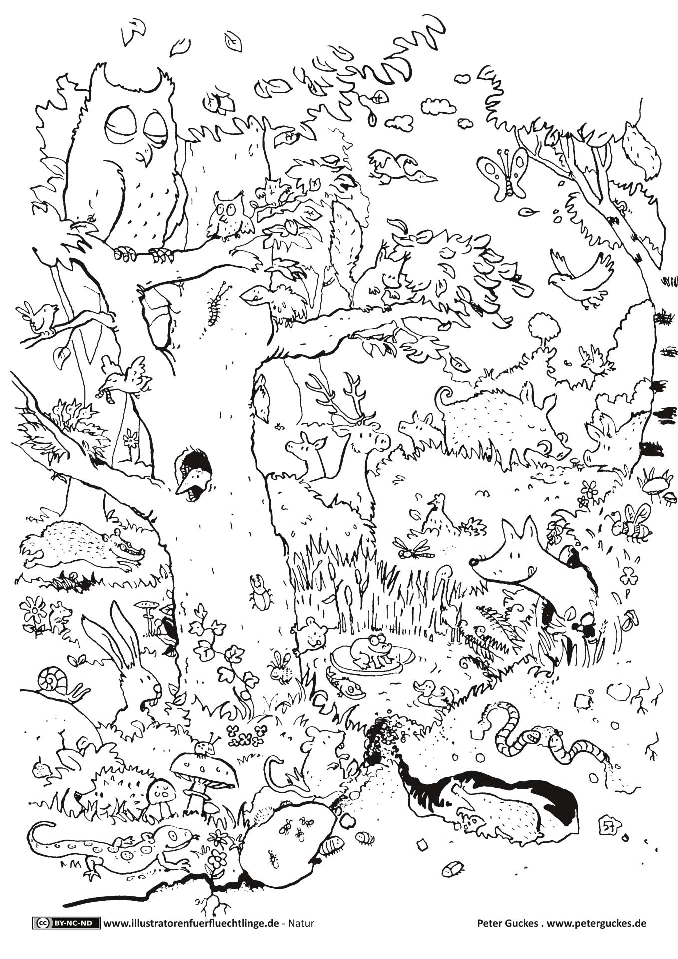 Natur - Wald Tiere von Peter Guckes