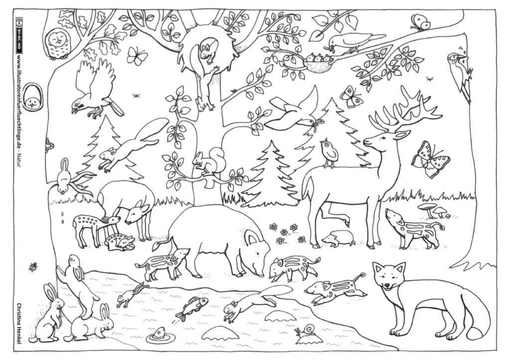Natur - Wald Tiere von Christine Henkel