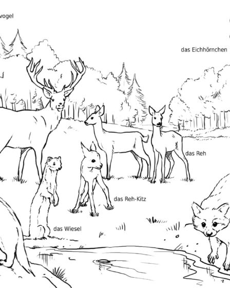 Natur - Wald Tiere