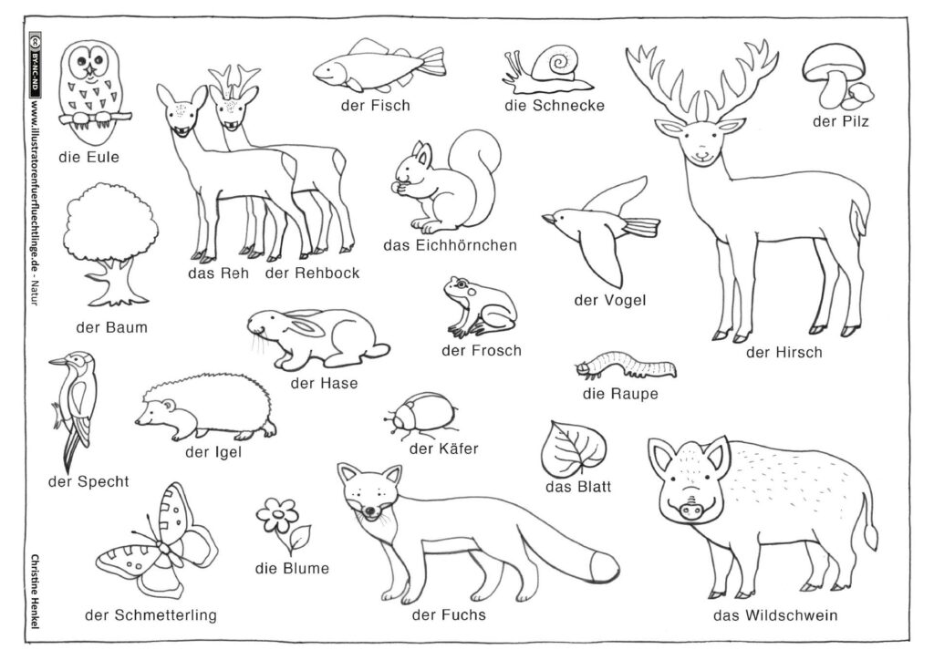 Natur - Wald Tiere Pflanzen von Christine Henkel