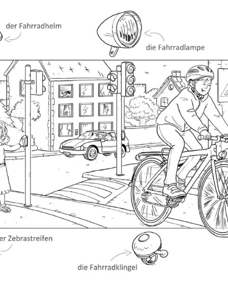 Verkehr - Fahrrad Ampel Zebrastreifen - Max Walther